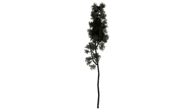 model 2